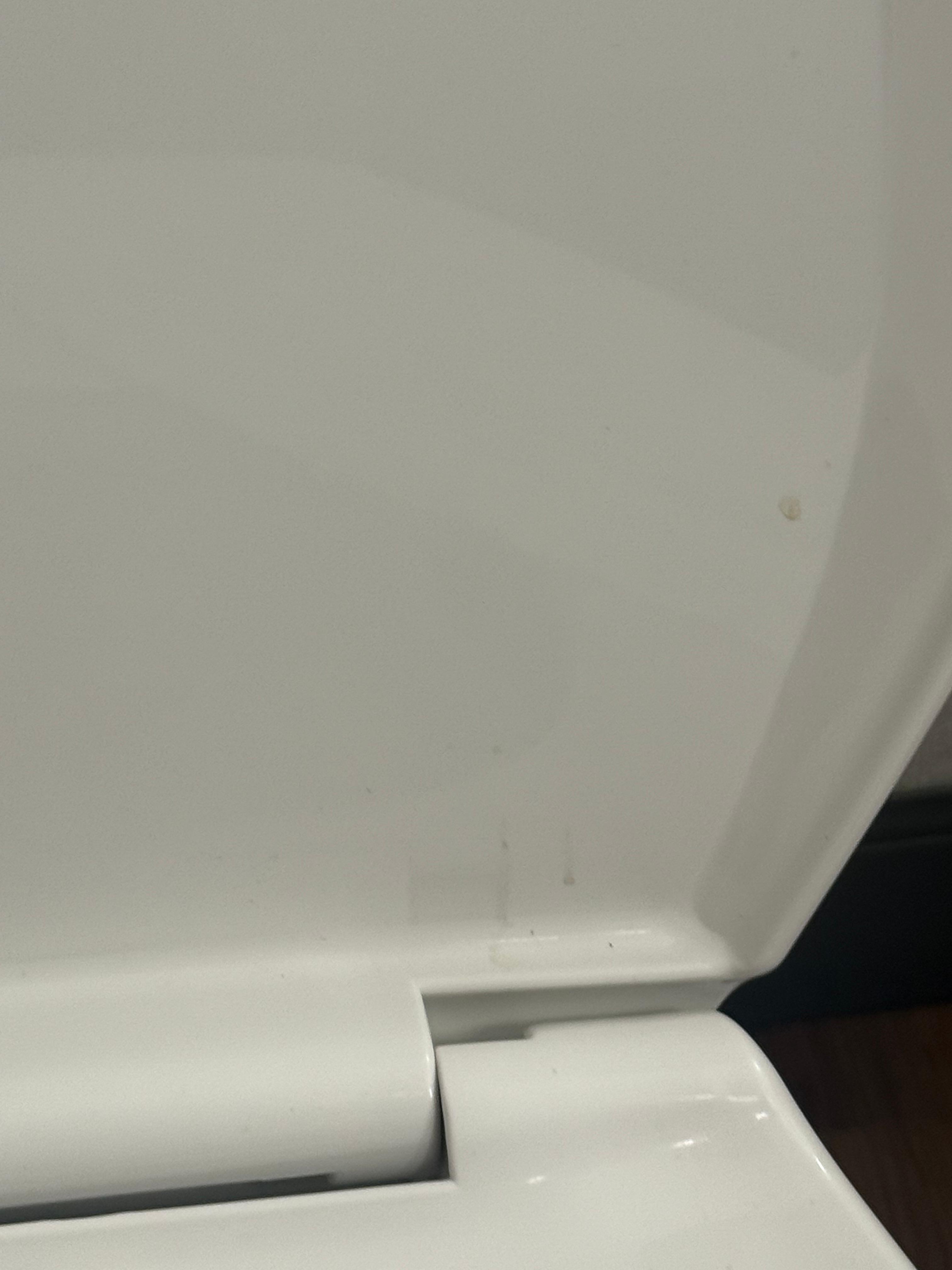 Dirty toilet lid