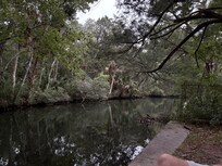 The creek