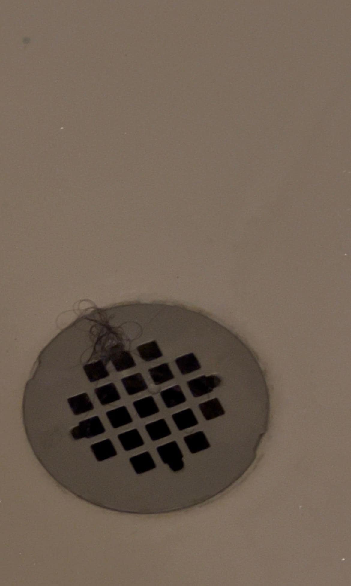 Hair sitting in the drain before we even touched the shower 