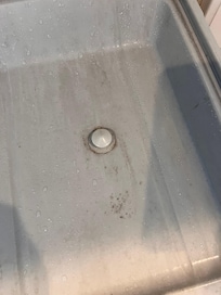 Dishwasher inside covered in mold and mildew