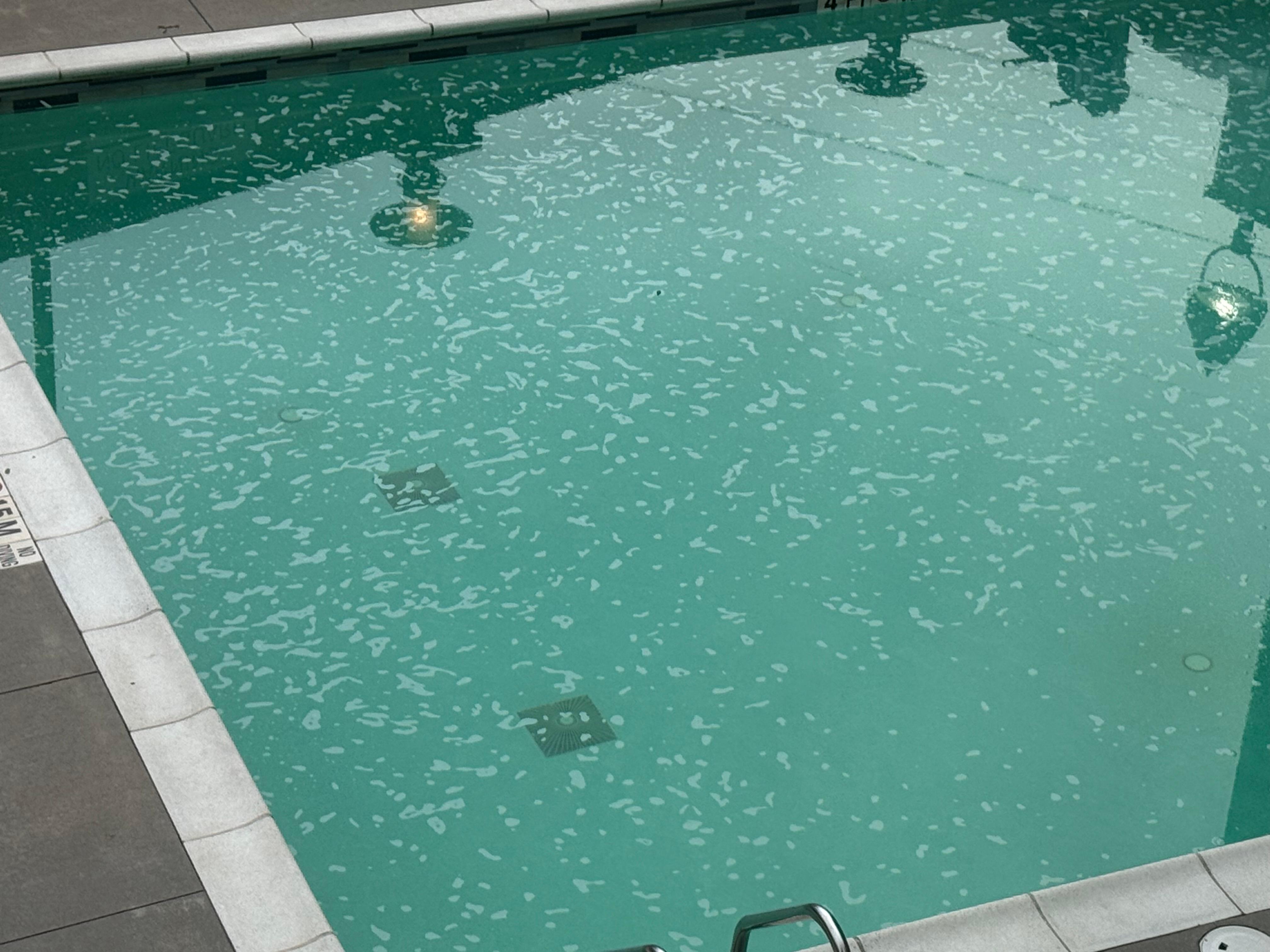 Green pool with oily film