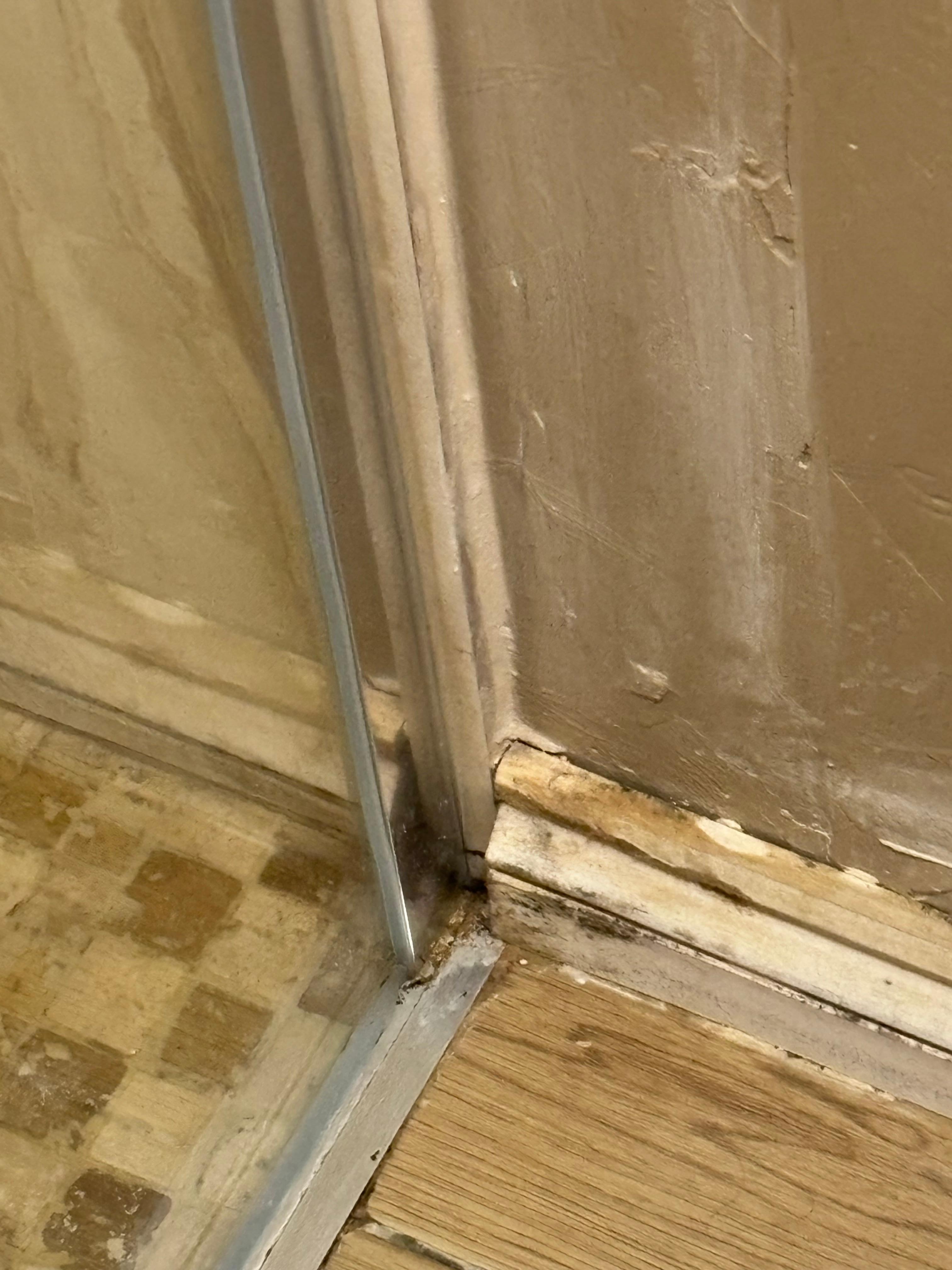 Damp rising unfinished 