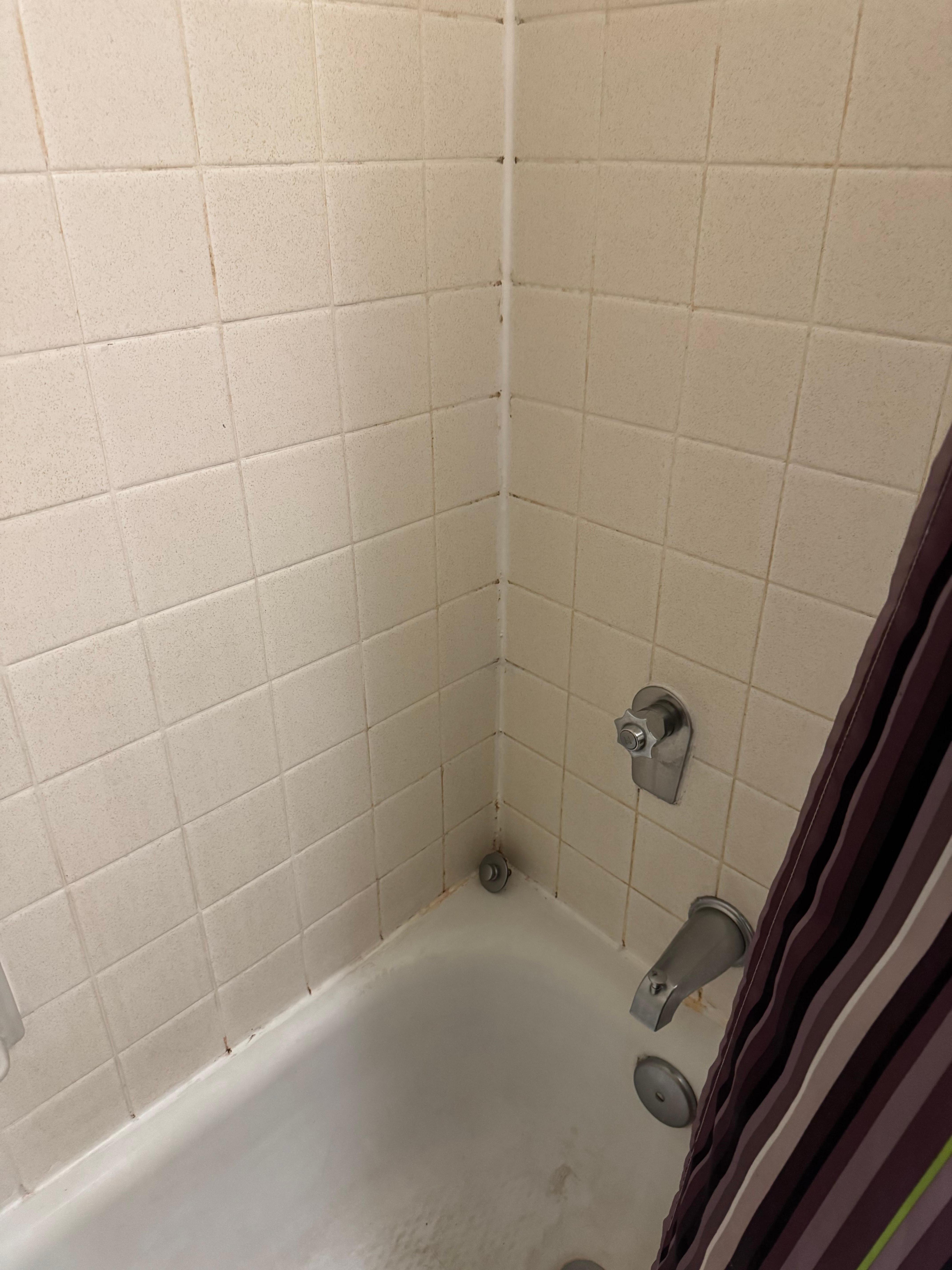 Moldy Shower