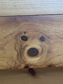 The friendly face on the top wooden step, it made us happy every time we went up the stairs. 😁