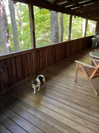 The deck is perfect for furry friends