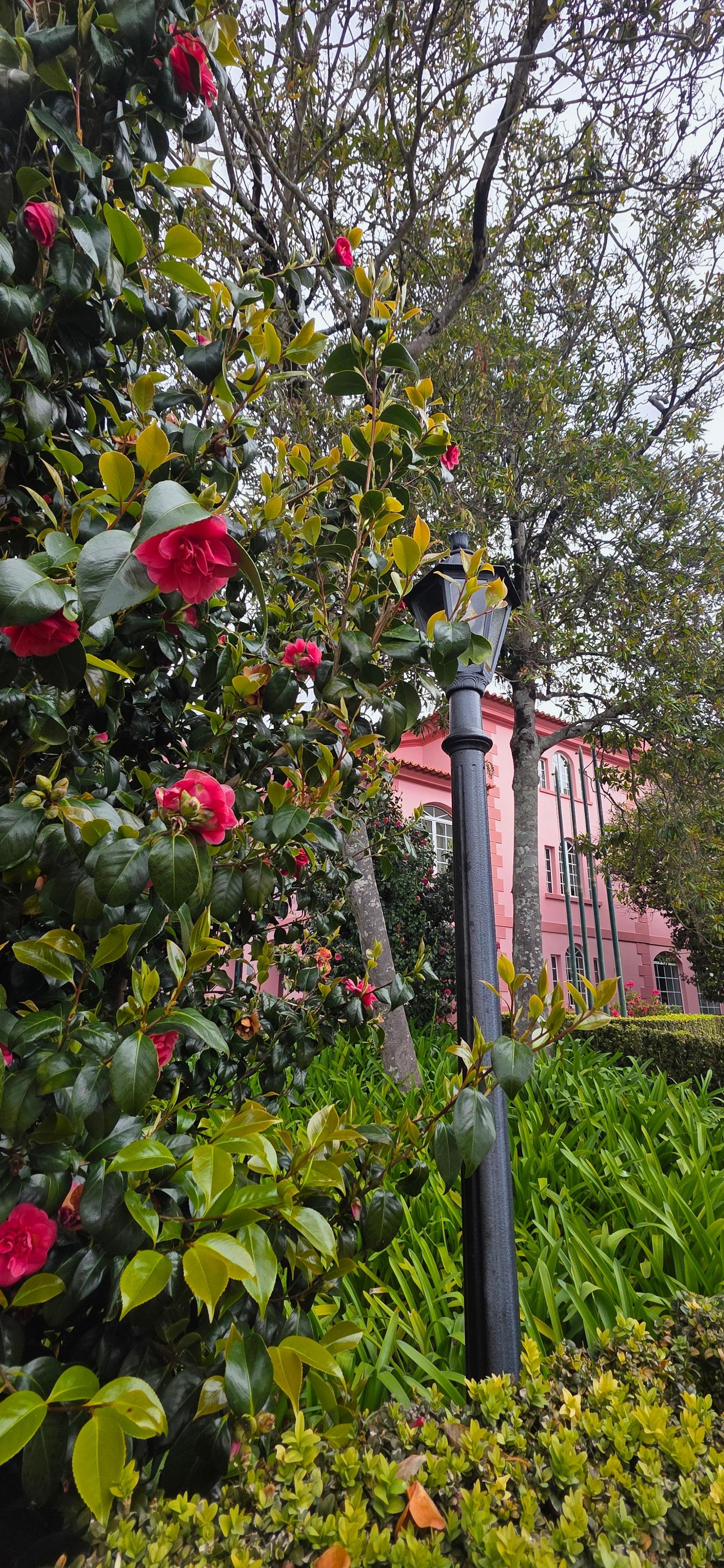 Rosengarten