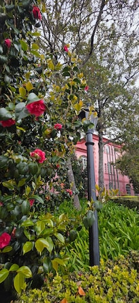 Rosengarten