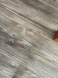 Flecken und KrĂŒmel auf dem Boden. In der KĂŒche Kaffesatzreste, Reste in der SpĂŒle, Schubladen mit KrĂŒmeln