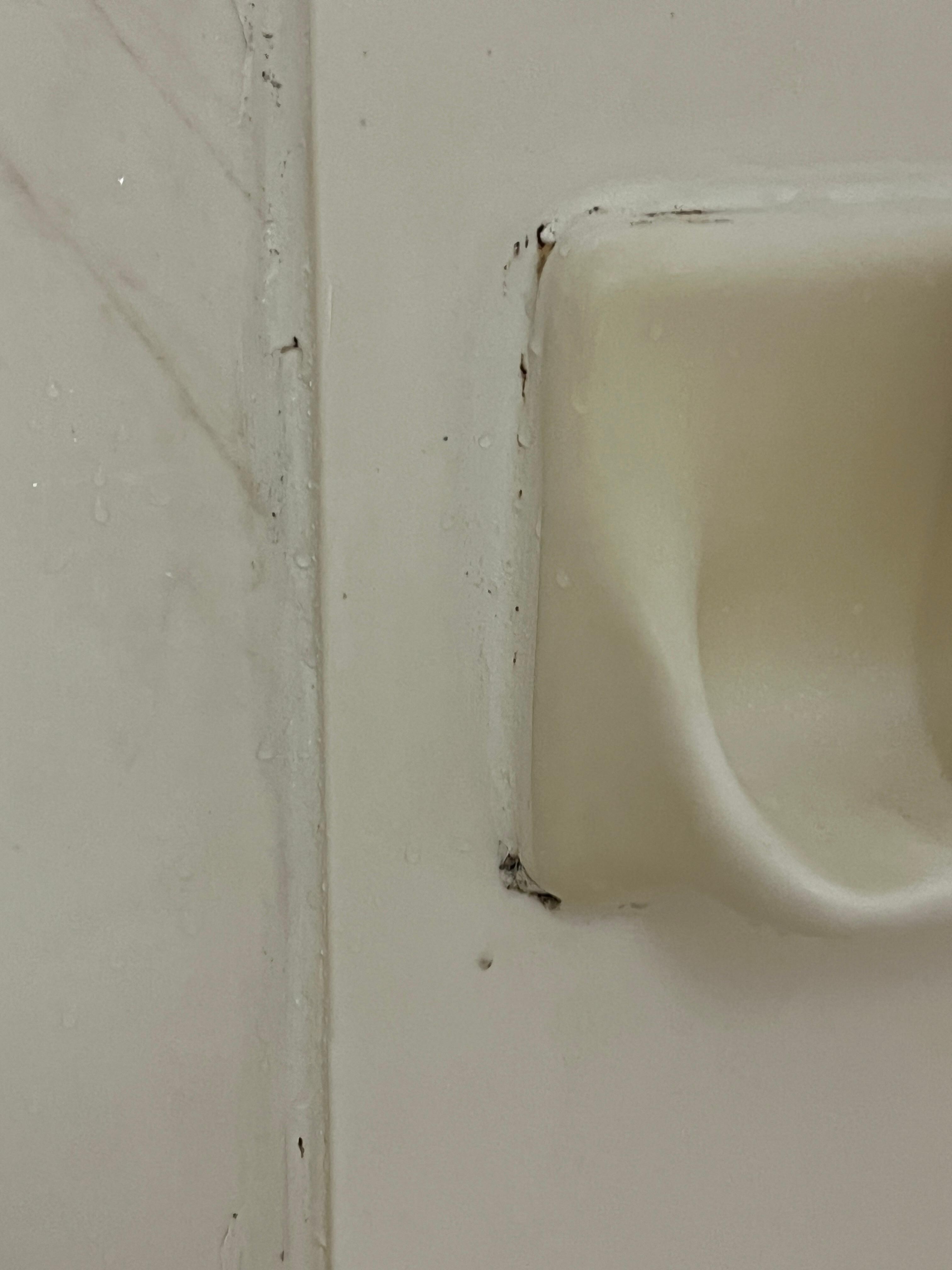 Mold in the shower