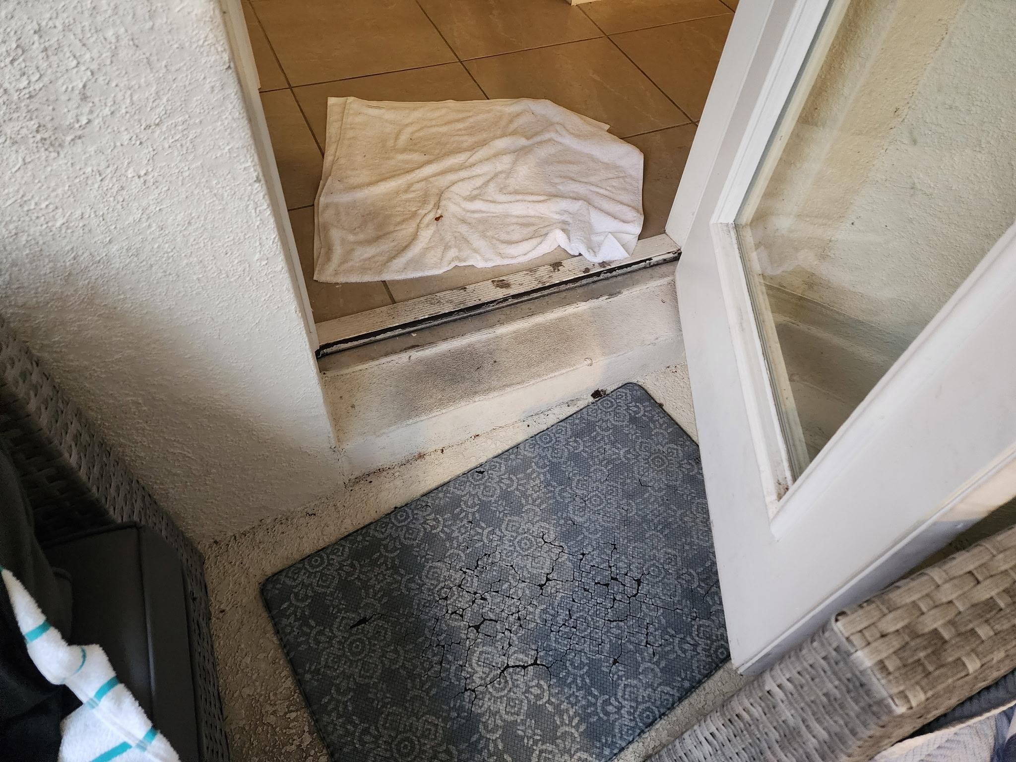 Idea of dirt throughout the house