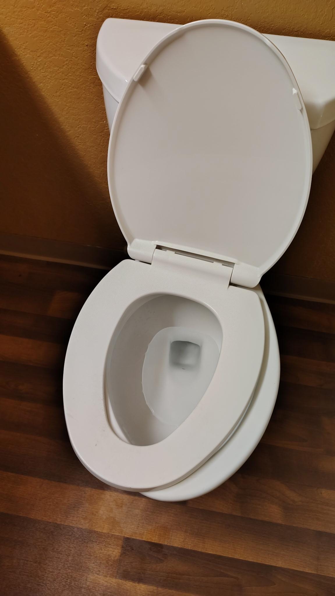 Toilet seat not affixed 