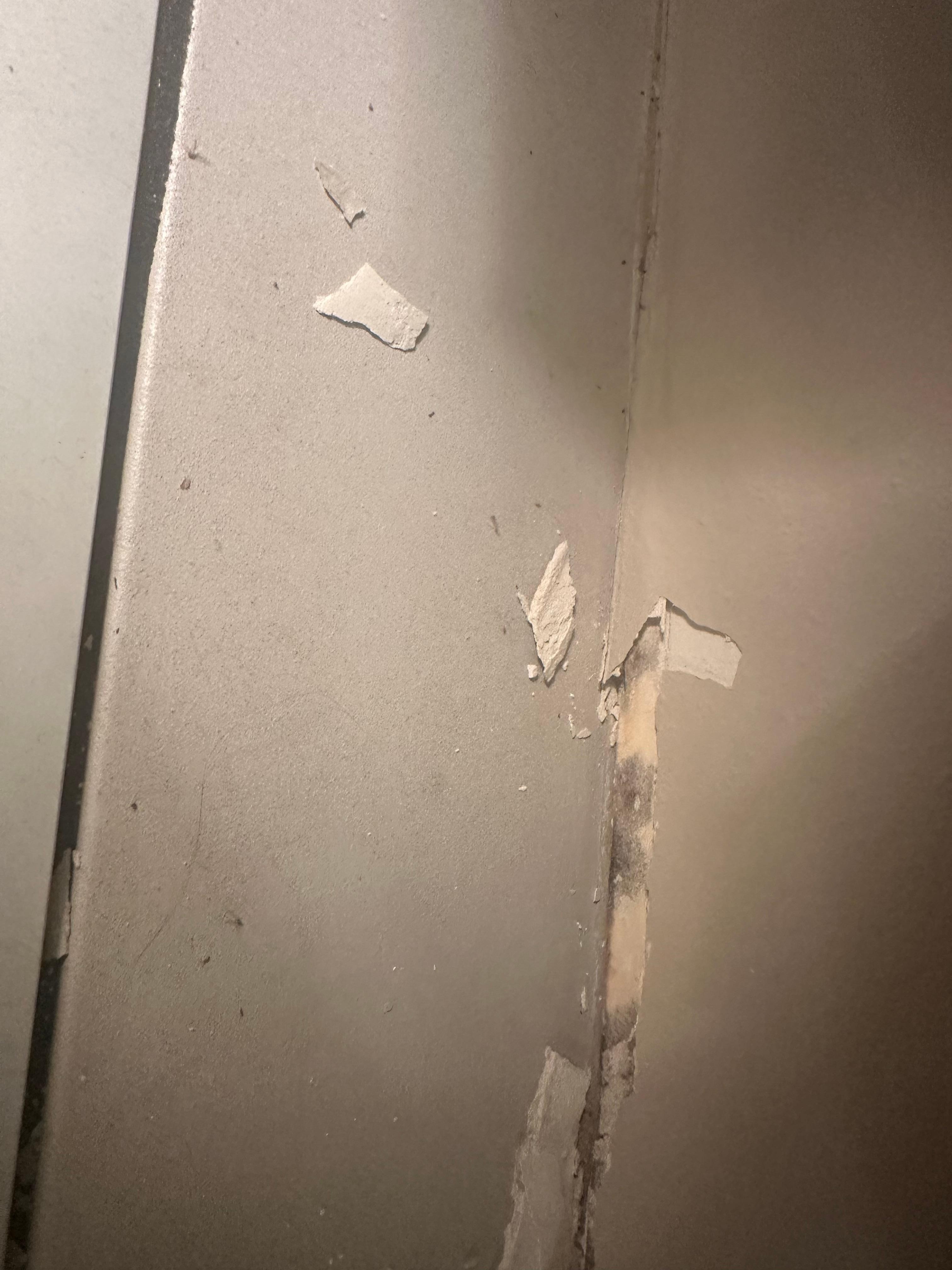 Mold can be seen. Paint peeling from water damage