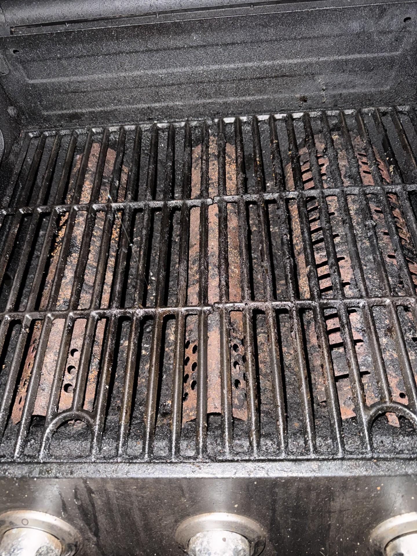 last week's dinner still on the grill