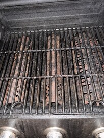 last week's dinner still on the grill