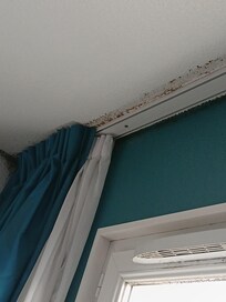 Moisissures su châssis de la fenêtre