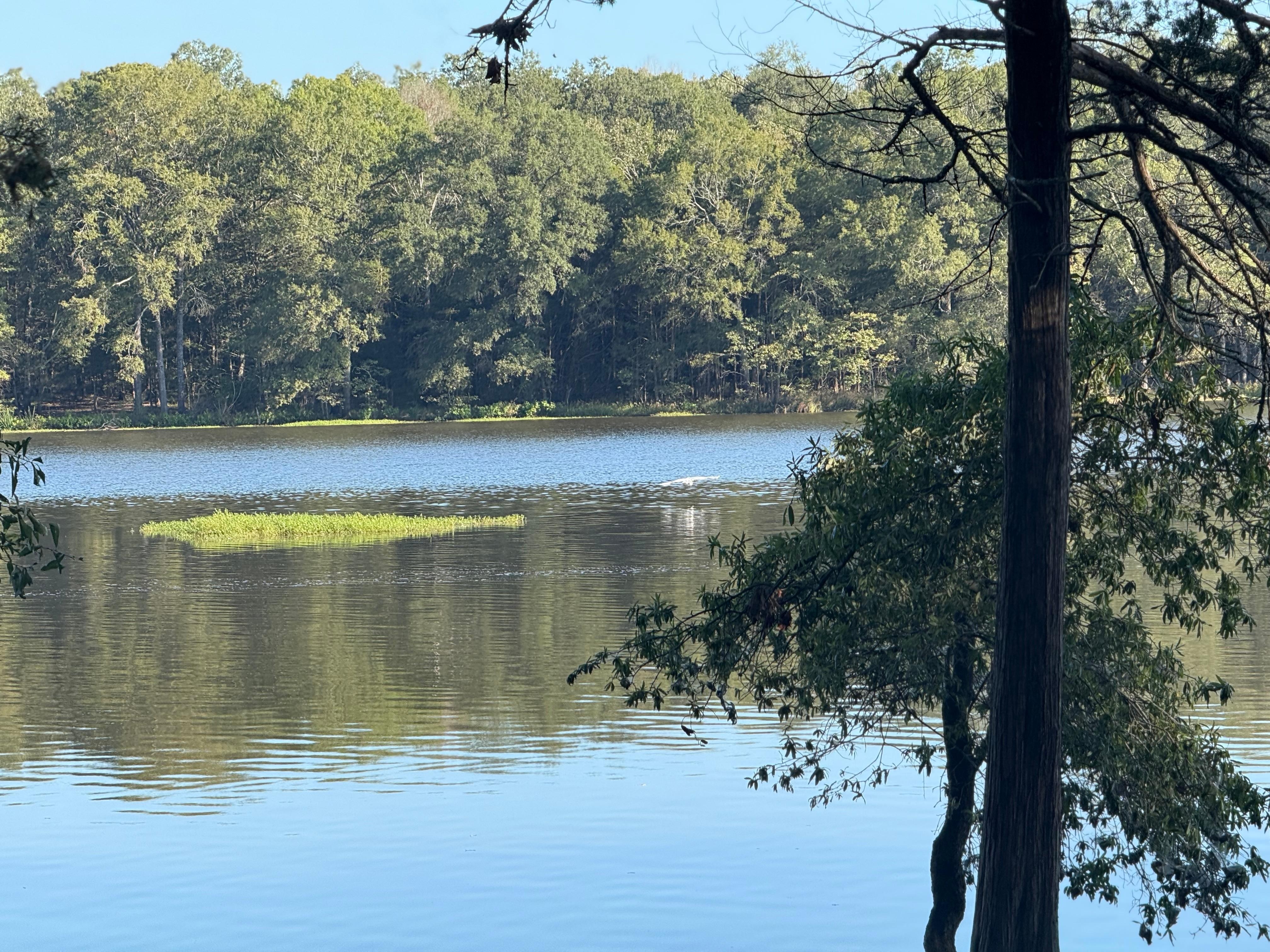 Our view of the lake
