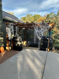 Hot top and awesome decoration