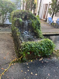 Fountain by koi pond