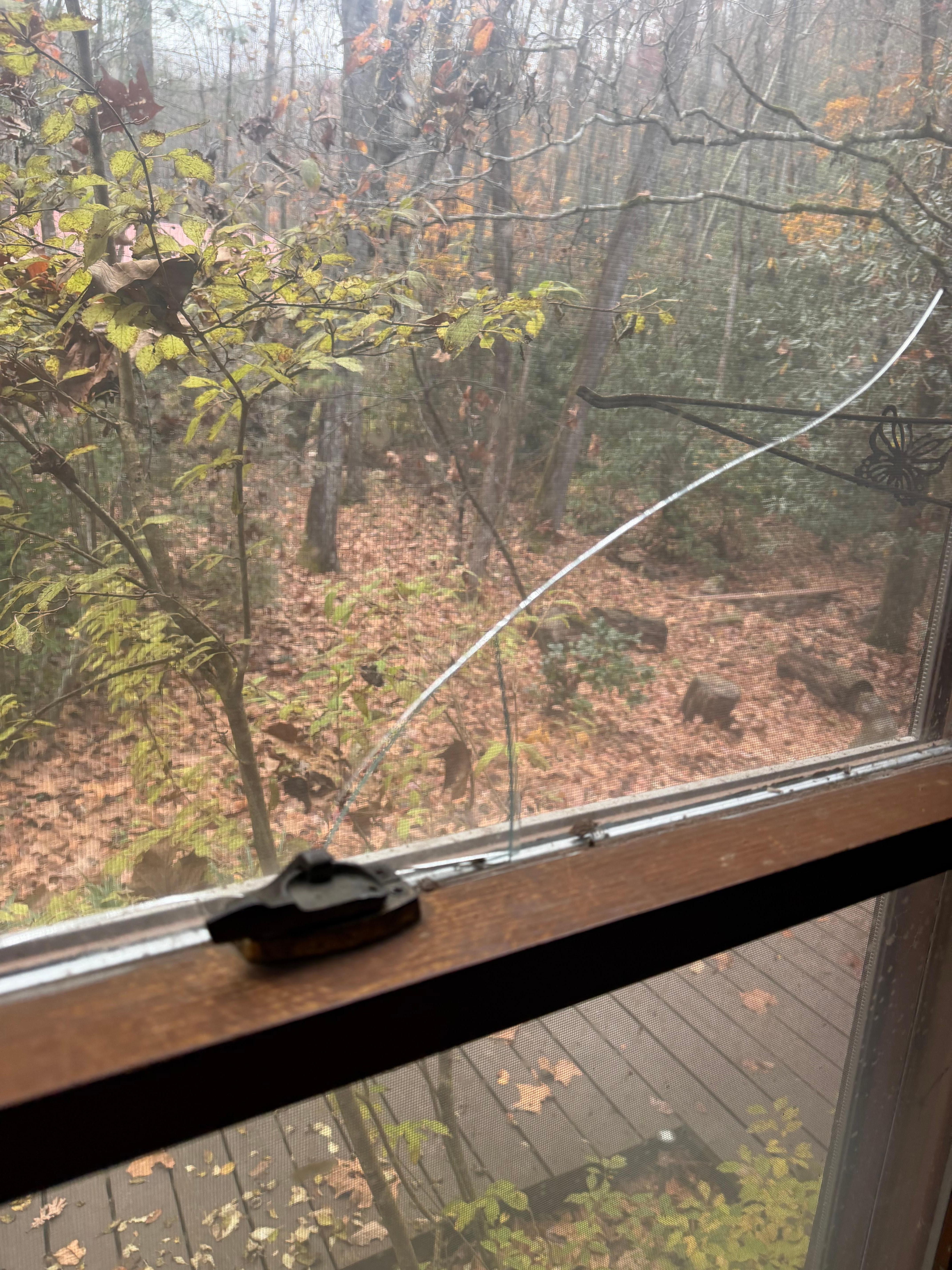 Broken window pane in the living room window. 