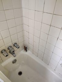 Mold