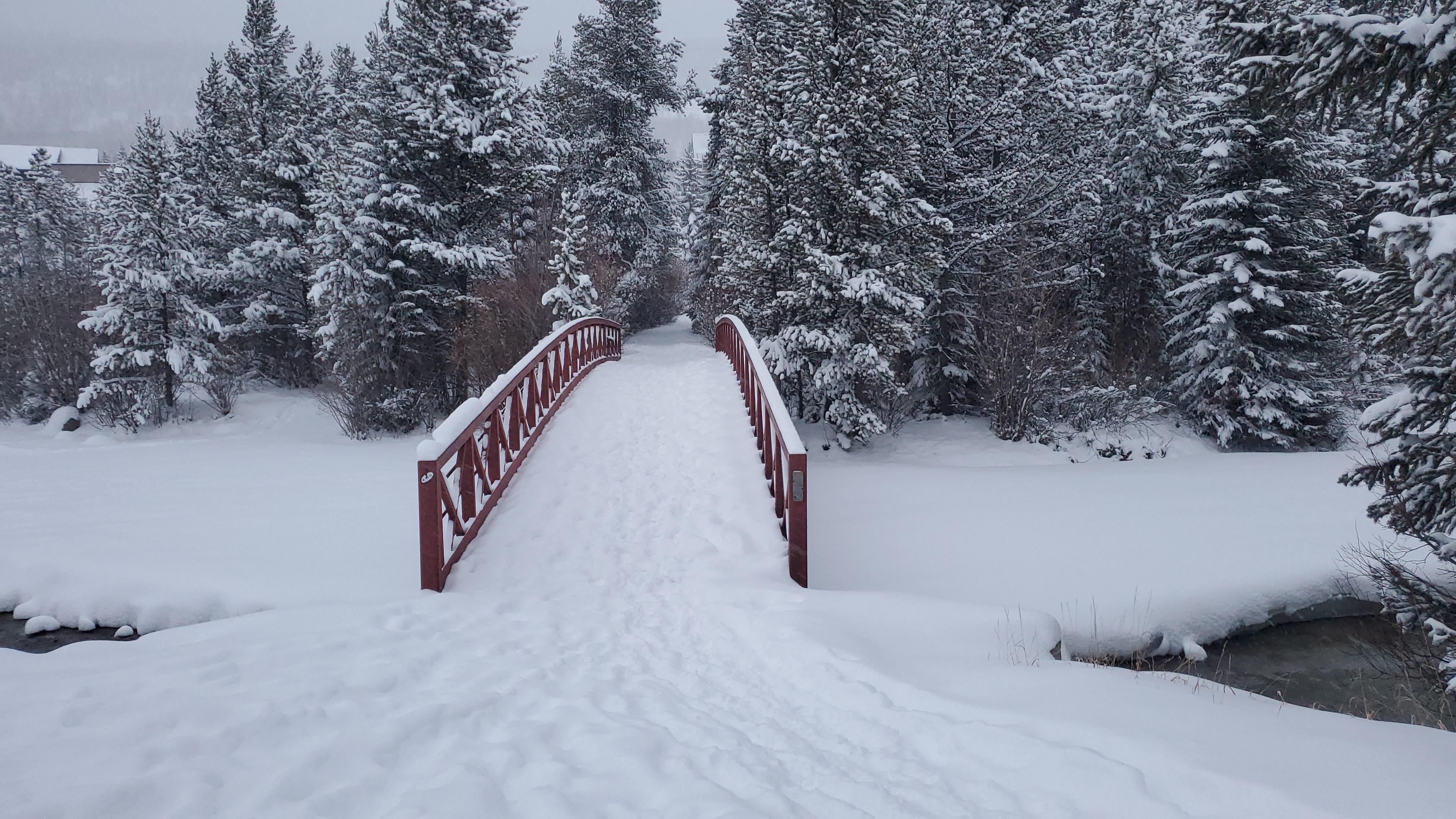 Snowy bridge on walk to lifts
