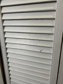 Dirt and mold on closet doors