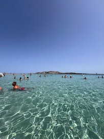 La Pelosa