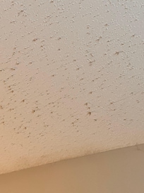 Ceiling