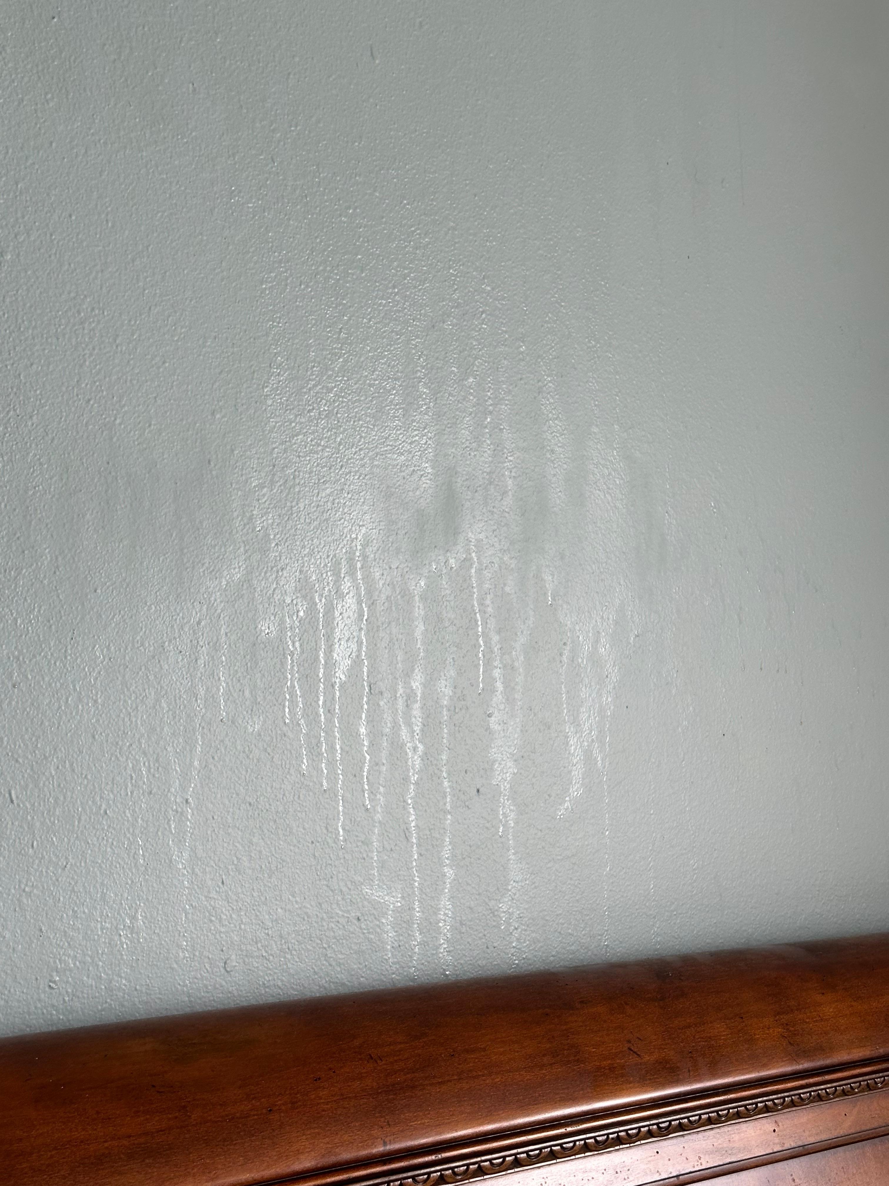 On multiple walls and near ac vents throughout the condo