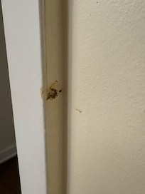 Brown smears on bathroom wall