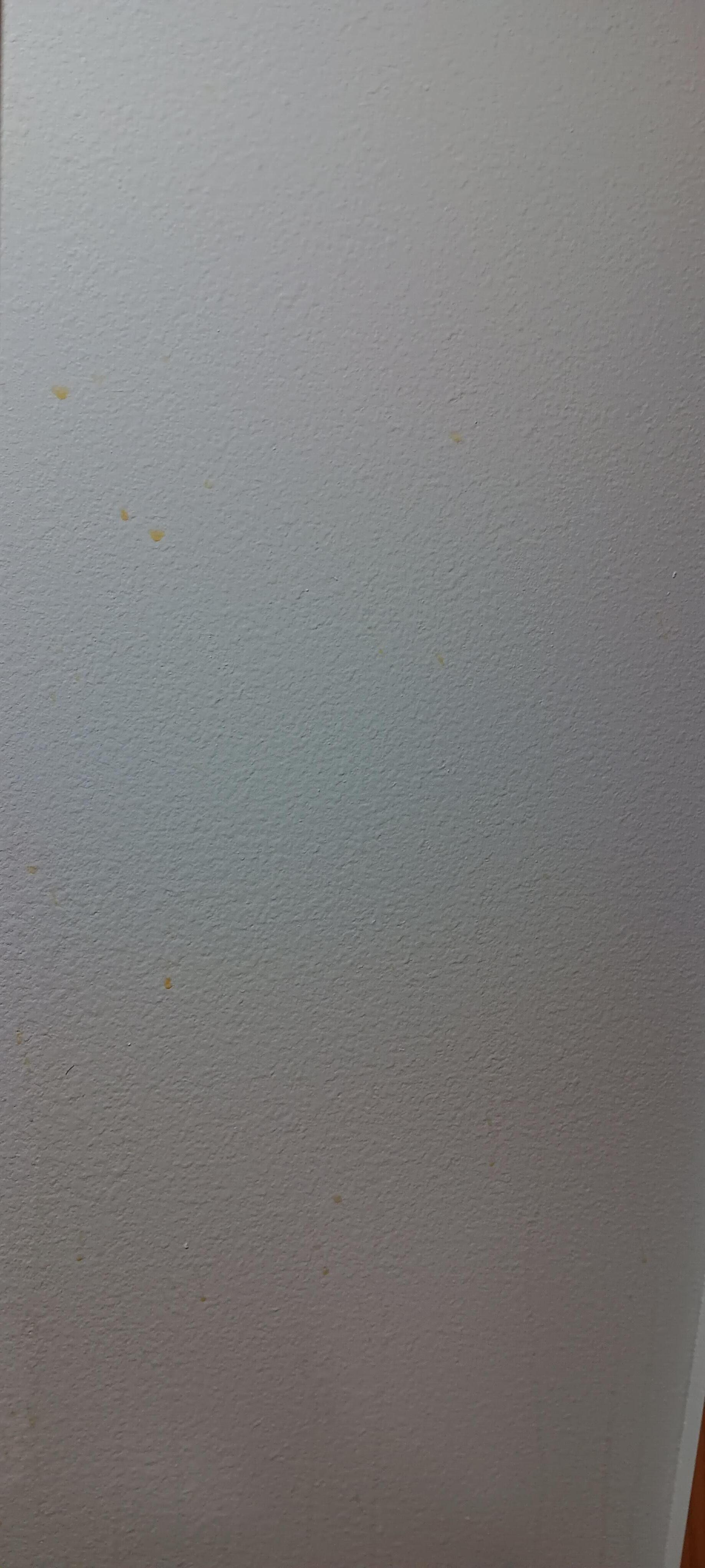 Stain on wall going into bathroom 