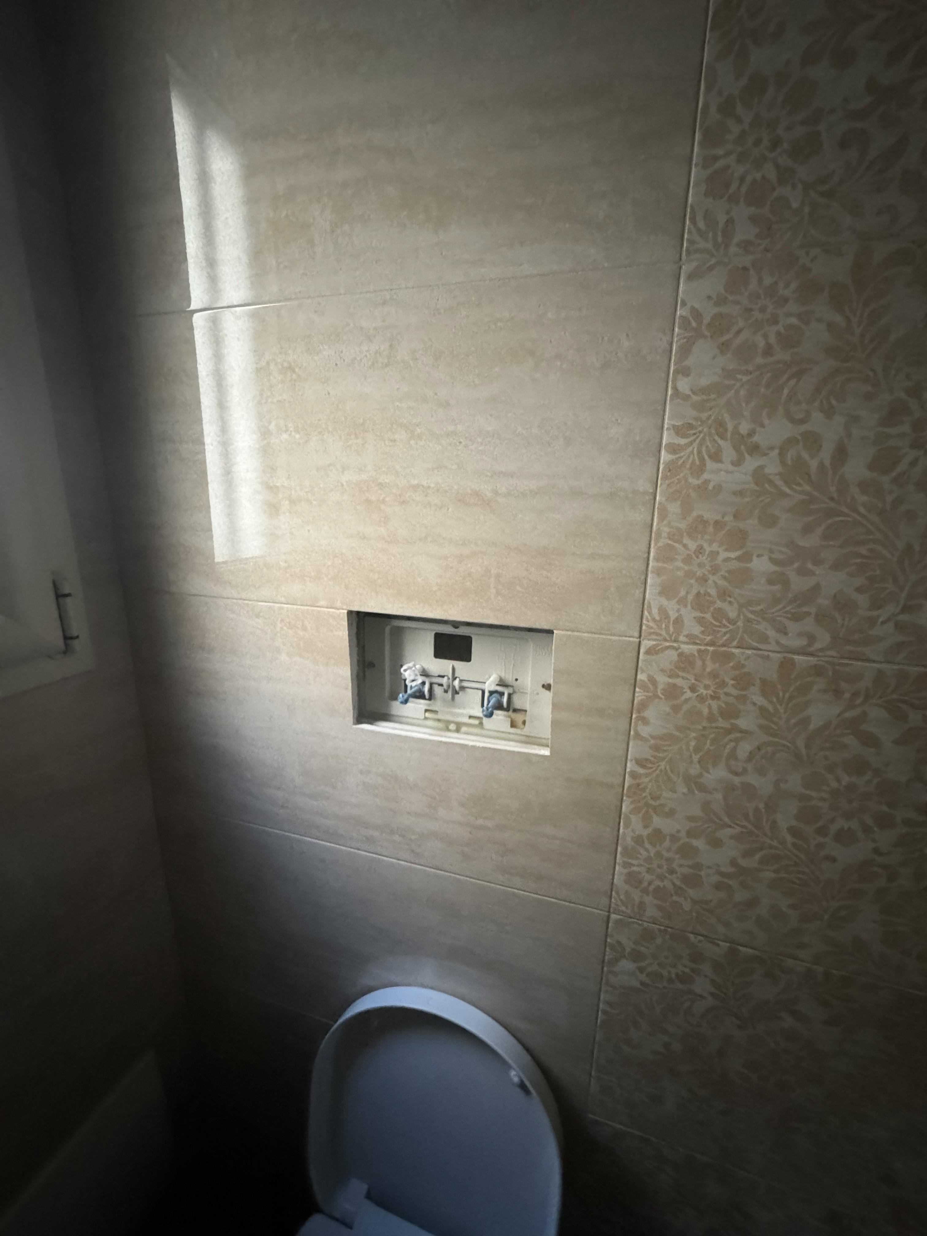 Missing toilet controls