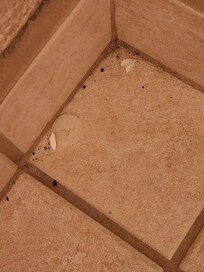 dirty bathroom floor