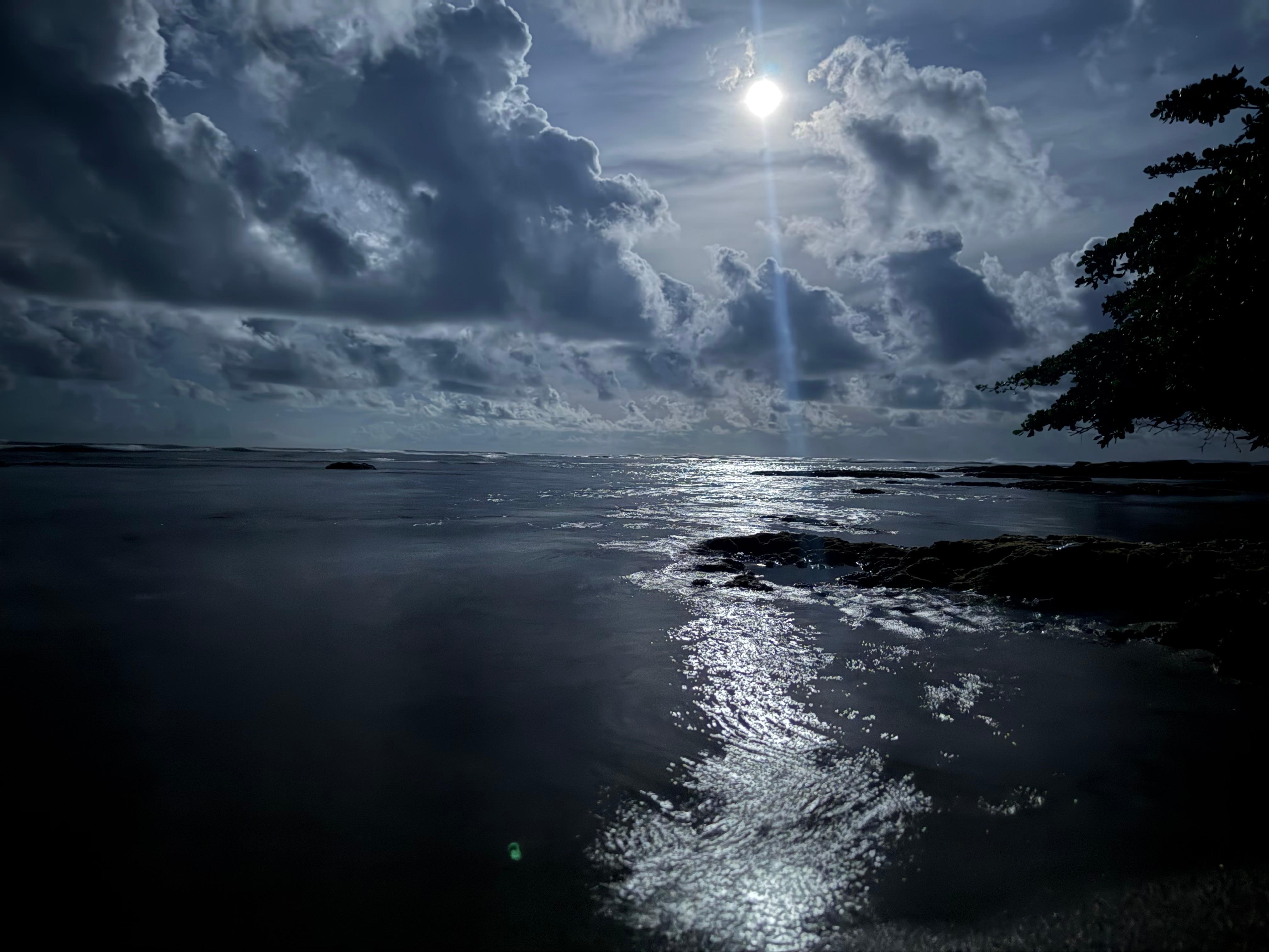 Beach behind the house during full moon. 