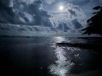 Beach behind the house during full moon.