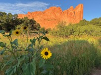 Garden of the Gods