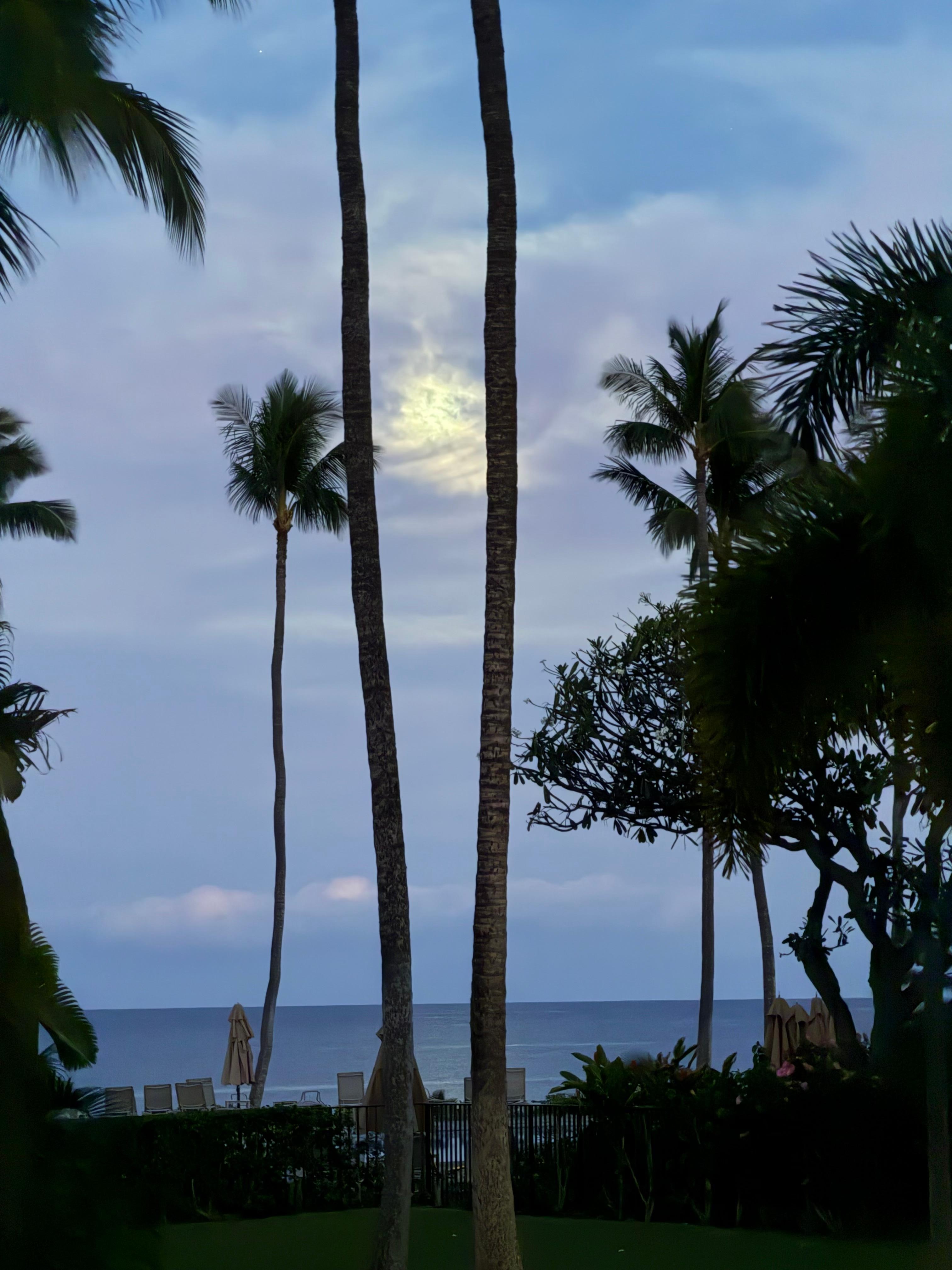 The moon from our patio 