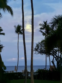 The moon from our patio