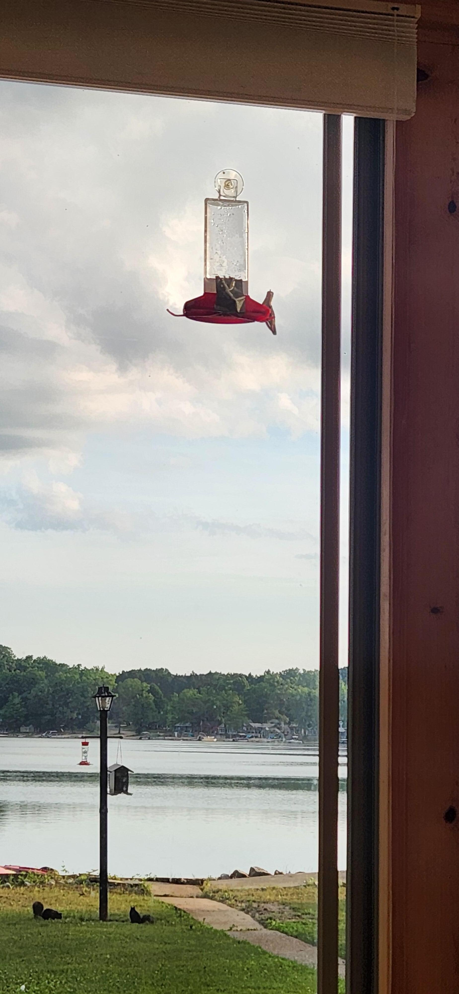 Early morning drinking my coffee and watching the birds and squirrels on the peaceful, beautiful lake.