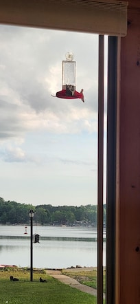 Early morning drinking my coffee and watching the birds and squirrels on the peaceful, beautiful lake.
