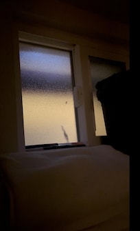 Put the screen in the window before bed.