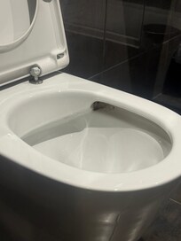 Mould/dirt build up in the toilet bowl