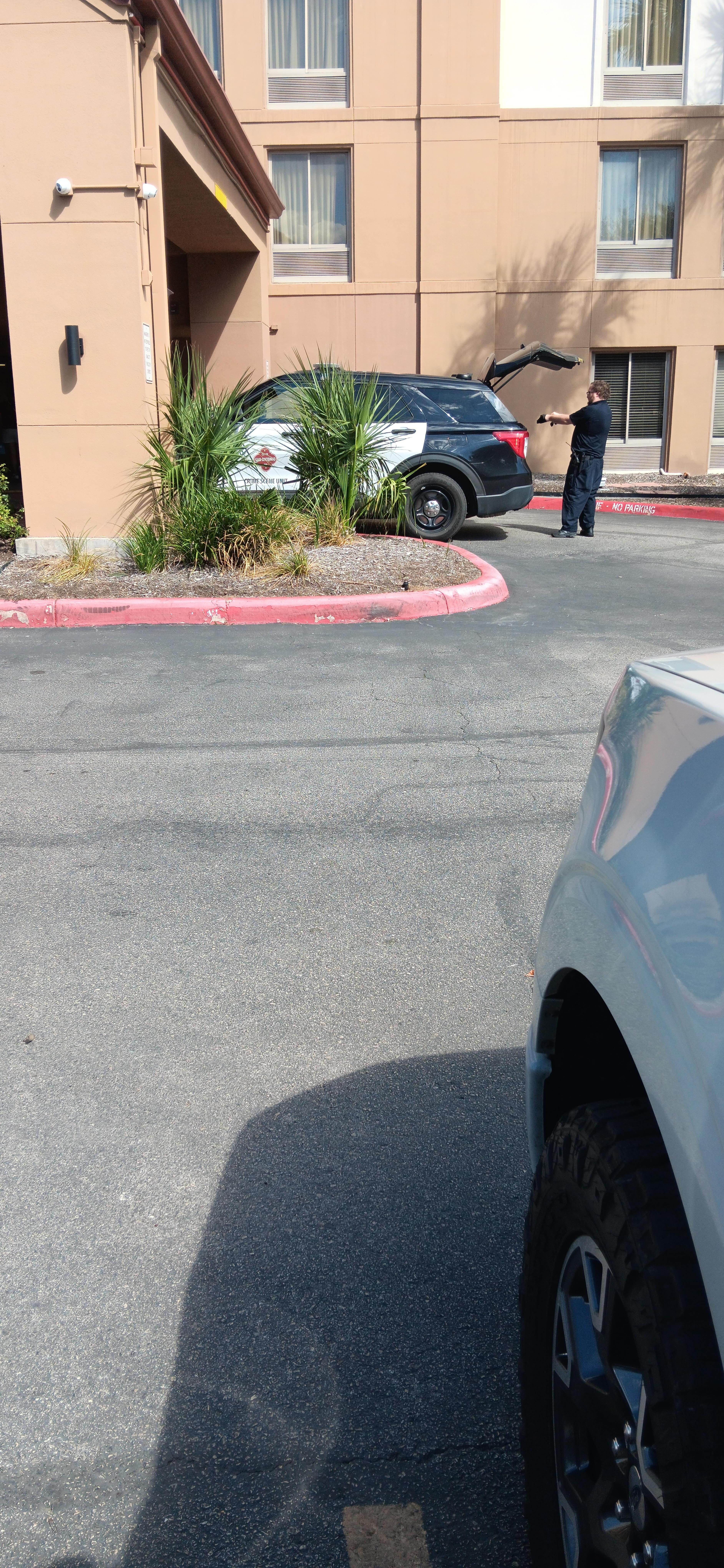 Guessing it'sa typical day round here＼(^o^)／