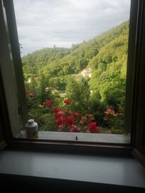 Uitzicht vanuit de keuken