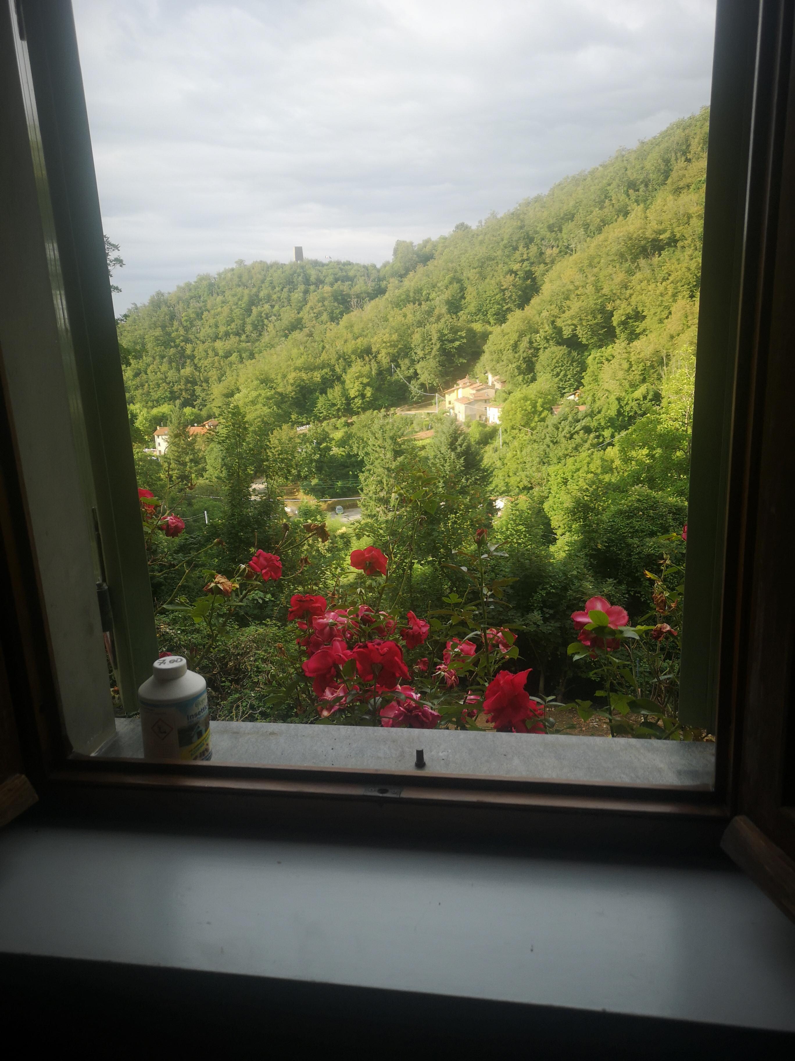 Uitzicht vanuit de keuken