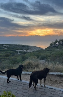 Taking in the sunset with Bella and diva!