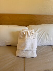 The towels folded were a nice surprise!