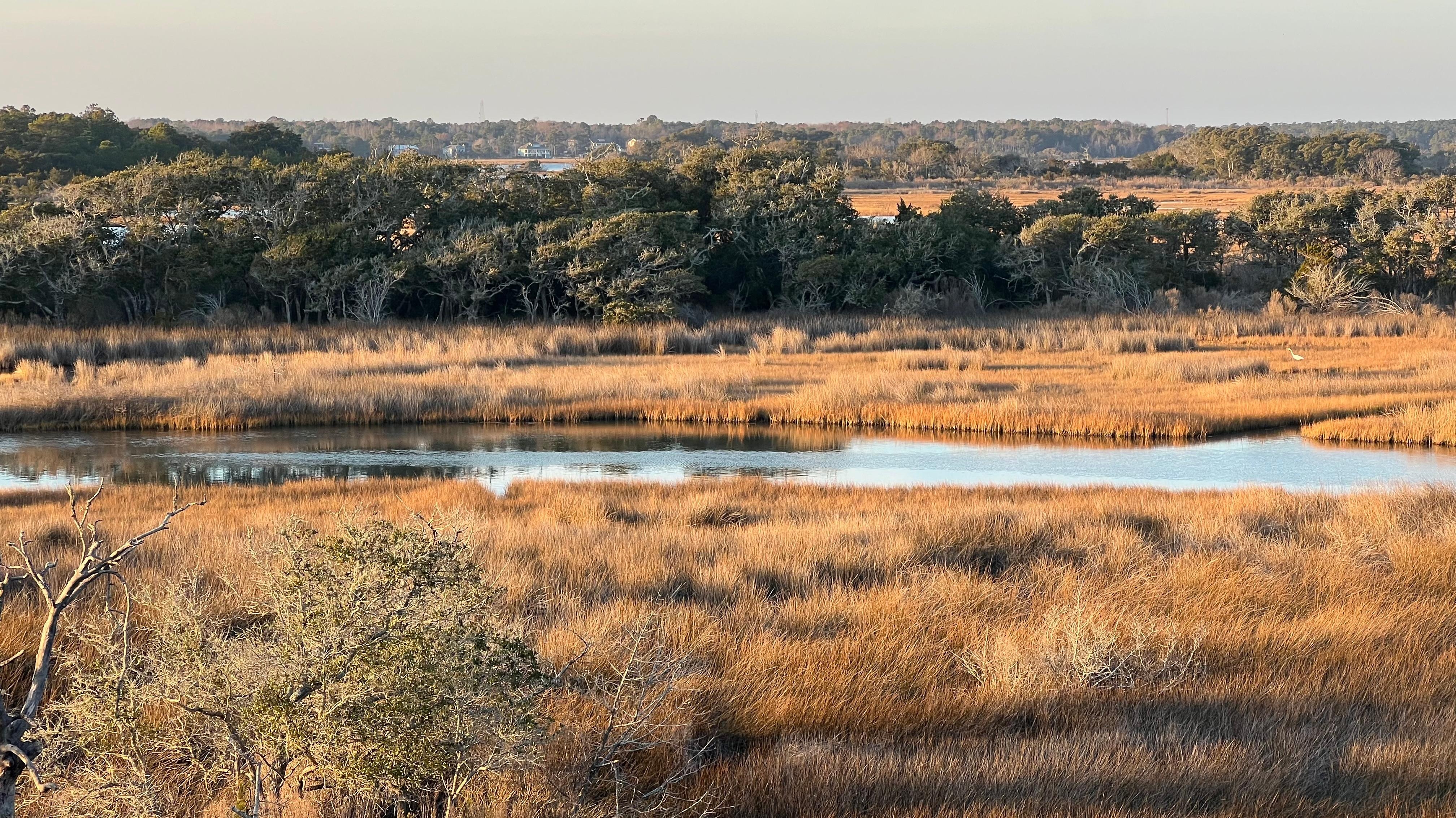 Sound view directly behind home
