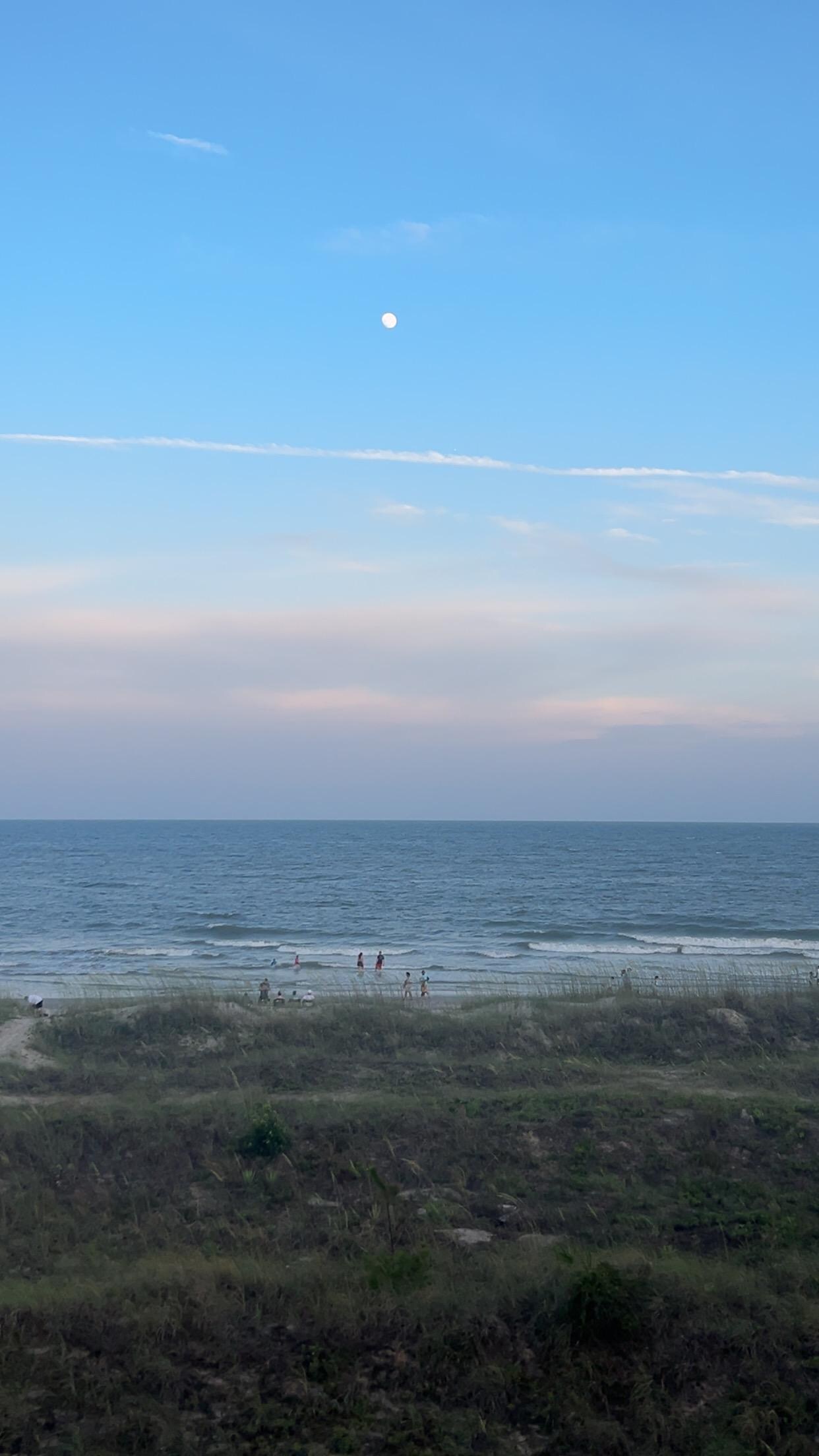 Beautiful view