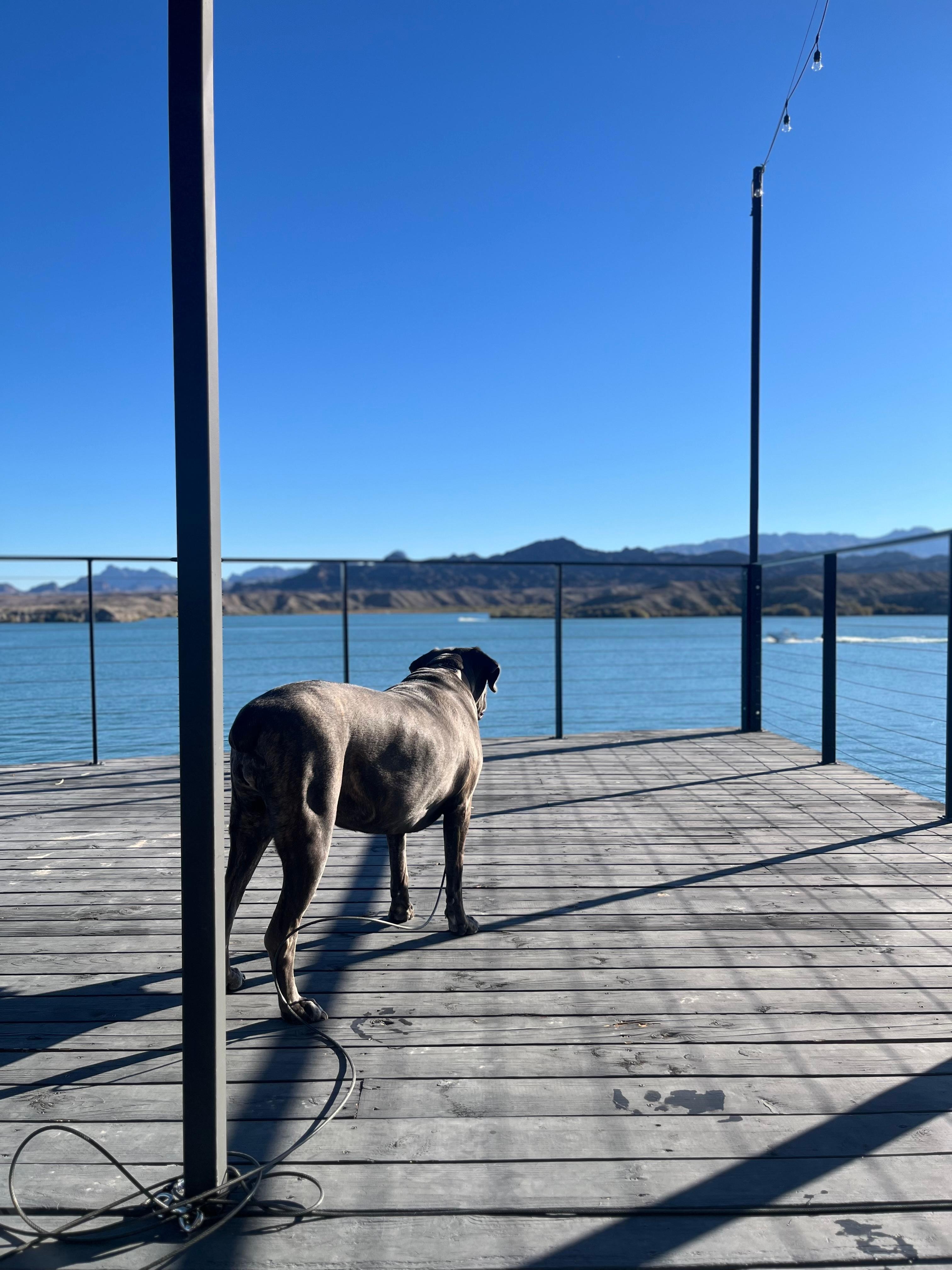 Jodi baby enjoying the views 